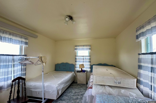 bedroom featuring multiple windows