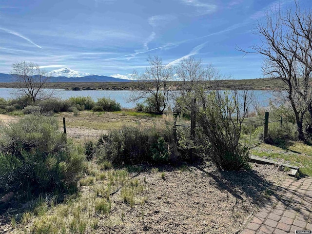 view of yard with a water and mountain view