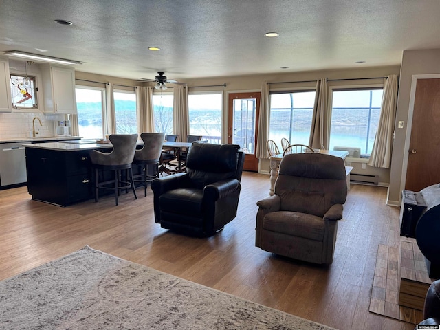 living room with a healthy amount of sunlight, a baseboard radiator, hardwood / wood-style flooring, and a water view