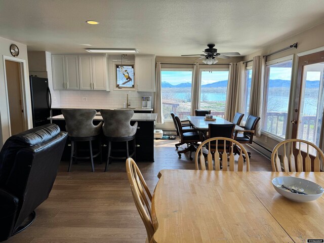 dining space with ceiling fan, a mountain view, hardwood / wood-style floors, and sink