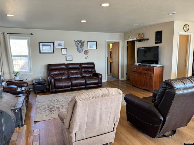 living room featuring light hardwood / wood-style flooring