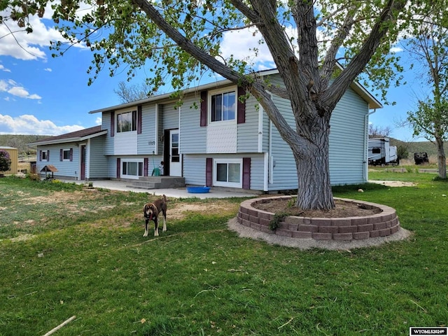 back of property featuring a yard and a patio area