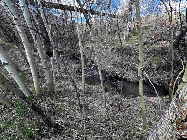 view of local wilderness featuring a water view