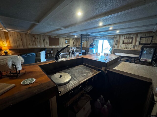 kitchen with a textured ceiling and wooden walls