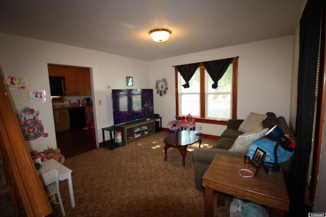 living room featuring carpet flooring and a textured ceiling