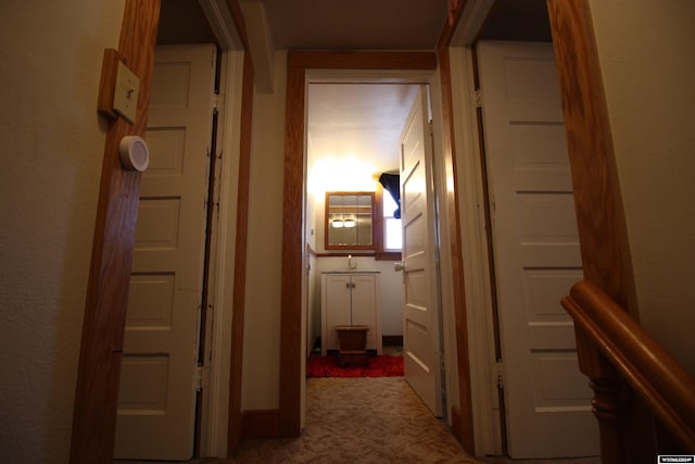 corridor with carpet floors