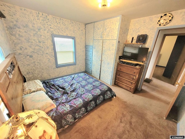 bedroom featuring carpet floors