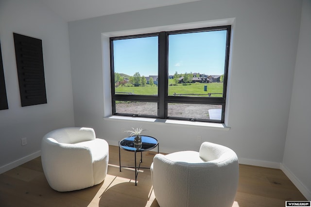 sitting room with a healthy amount of sunlight and wood-type flooring