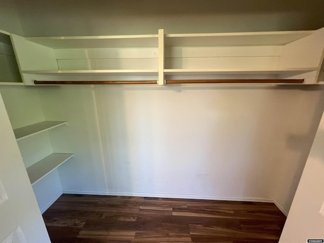 spacious closet featuring dark hardwood / wood-style flooring