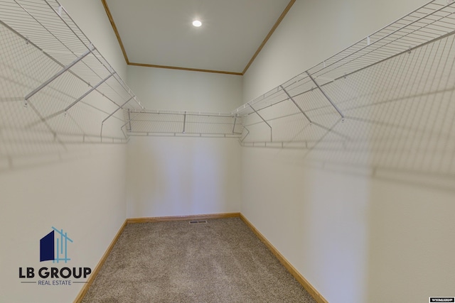 spacious closet featuring carpet flooring