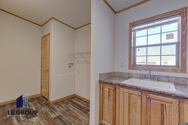 bathroom with crown molding, wood-type flooring, and vanity