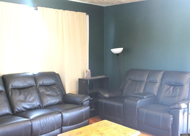 home theater room featuring wood-type flooring