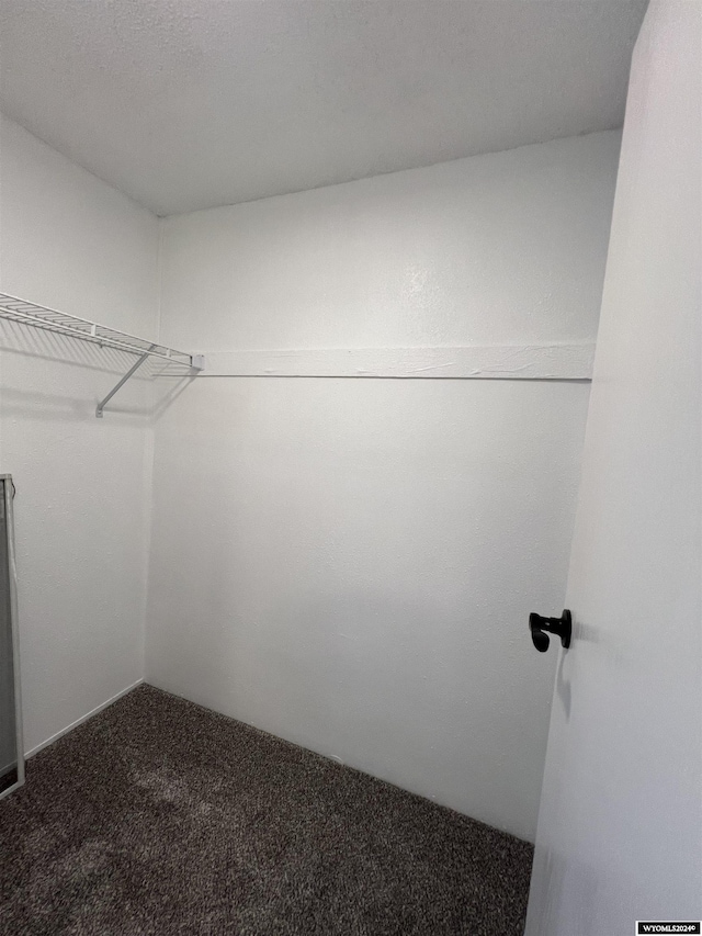 spacious closet featuring dark carpet