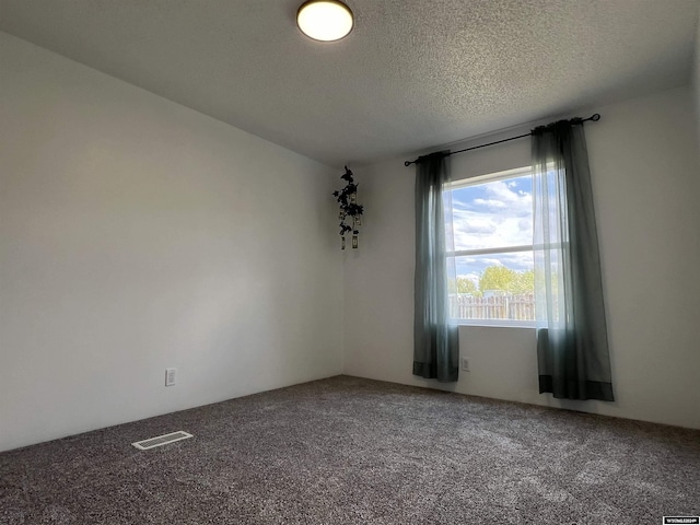 unfurnished room with carpet flooring and a textured ceiling