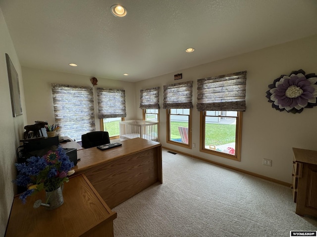 office space featuring light carpet and a textured ceiling