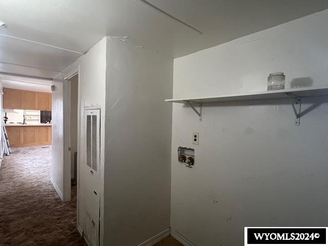 washroom featuring carpet flooring and hookup for a washing machine