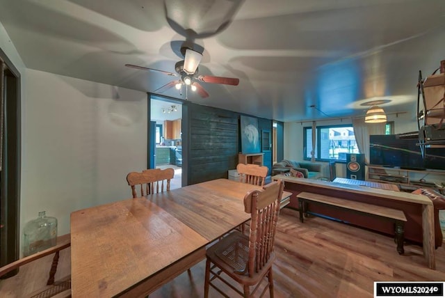 dining room with ceiling fan and hardwood / wood-style flooring