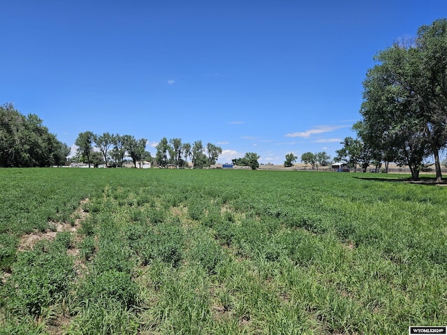 view of local wilderness with a rural view