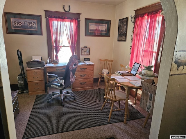 office featuring carpet