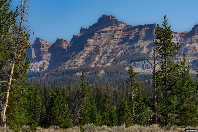 Ramshorn Ranch Rd, Dubois WY, 82513 land for sale