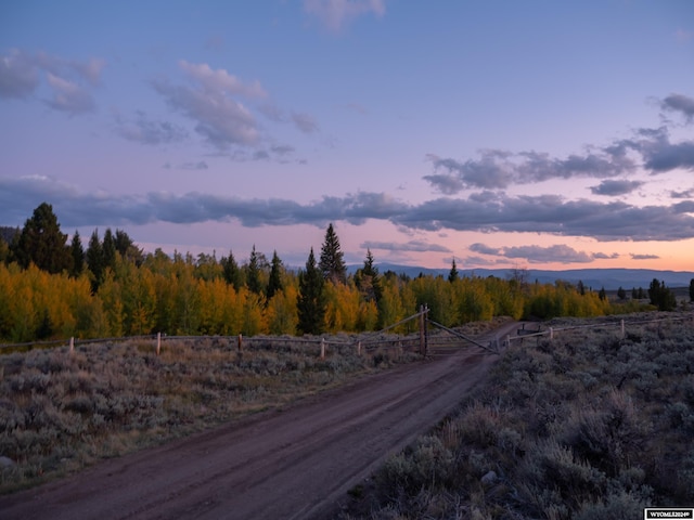 Listing photo 3 for Ramshorn Ranch Rd, Dubois WY 82513