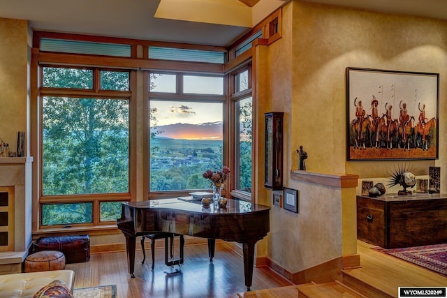 home office with expansive windows, plenty of natural light, and light hardwood / wood-style flooring