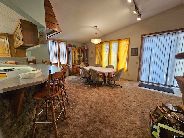 carpeted dining area with vaulted ceiling and rail lighting