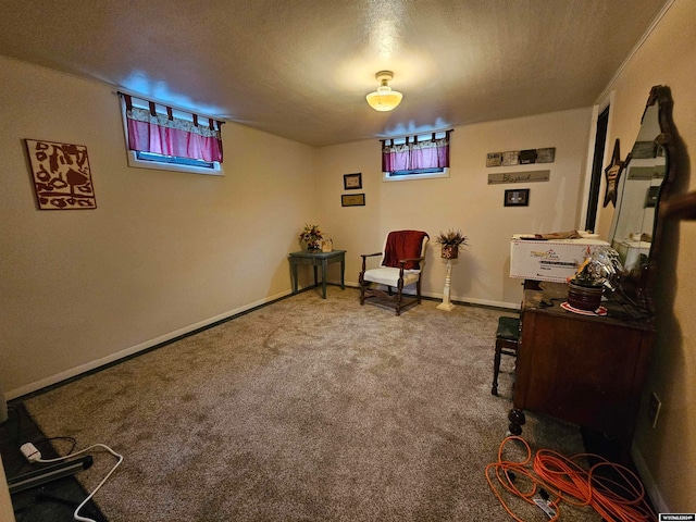 sitting room featuring carpet flooring and a textured ceiling