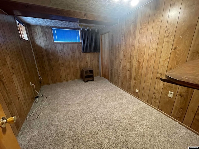 basement with carpet flooring and wood walls