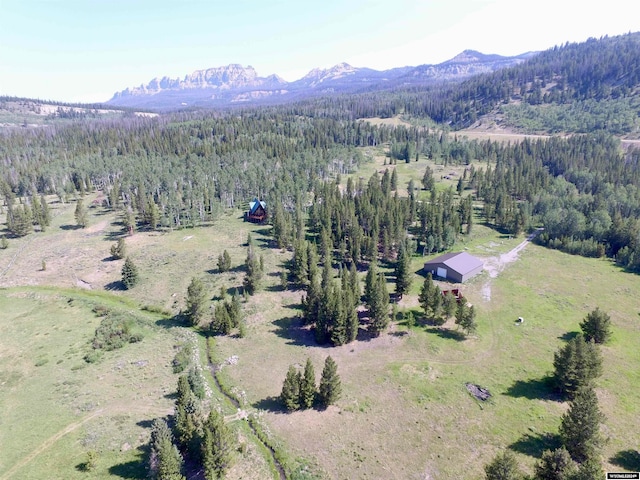 bird's eye view featuring a mountain view