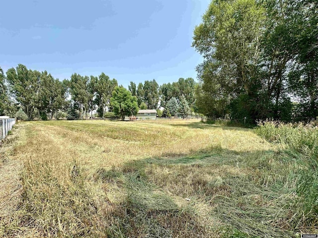 view of yard featuring a rural view