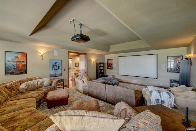 cinema featuring a raised ceiling