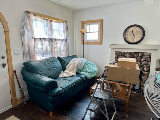 living room featuring a fireplace and wood-type flooring