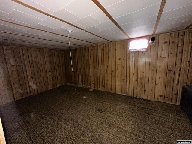 basement with carpet floors and wooden walls