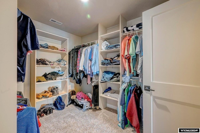 spacious closet featuring carpet flooring and visible vents