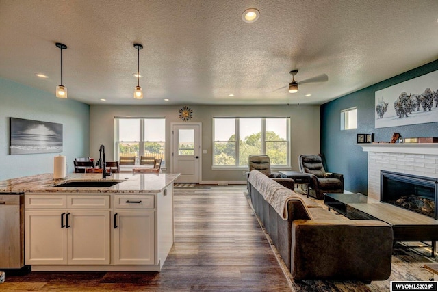 kitchen featuring a sink, stainless steel dishwasher, open floor plan, light stone countertops, and dark wood-style flooring