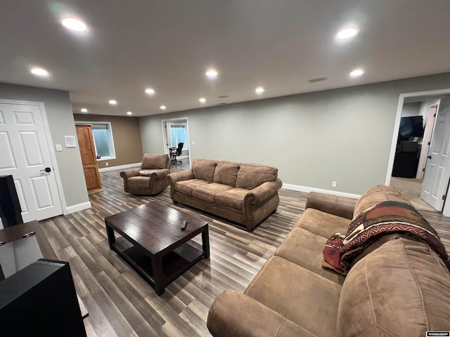 living room featuring dark wood-type flooring