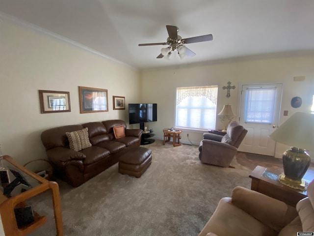 living room featuring carpet floors, ceiling fan, and ornamental molding