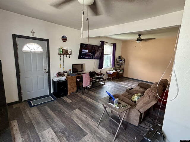 entryway featuring wood-type flooring and ceiling fan