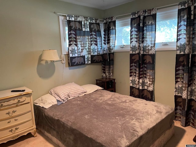 bedroom featuring carpet flooring