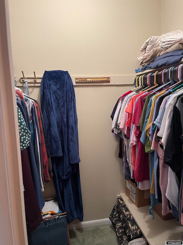 spacious closet with carpet floors