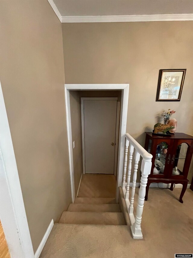 staircase with ornamental molding and carpet floors