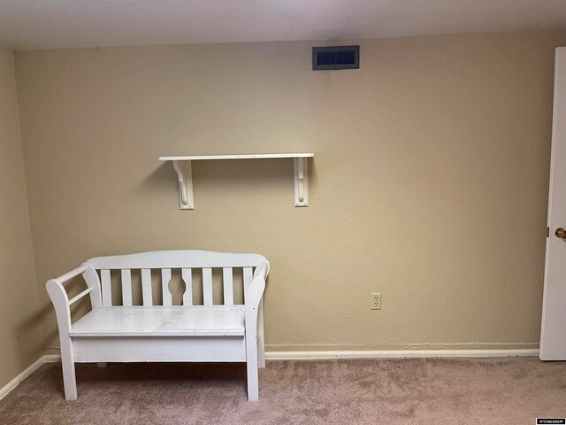 unfurnished bedroom with carpet floors