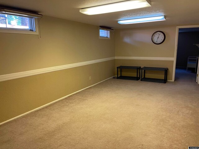 basement featuring carpet floors