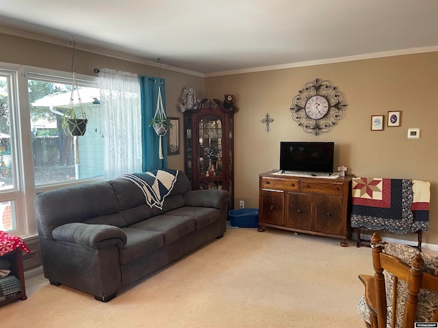 living room featuring ornamental molding and carpet floors