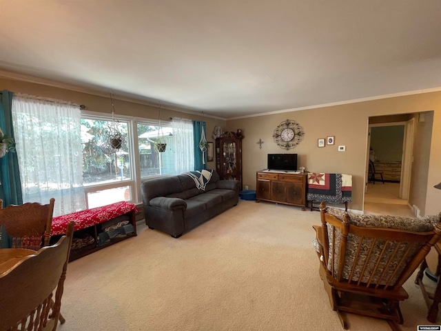 carpeted living room featuring crown molding