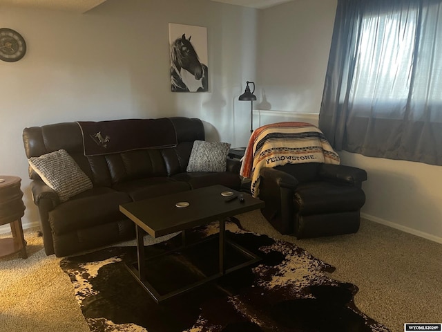 living room featuring carpet flooring