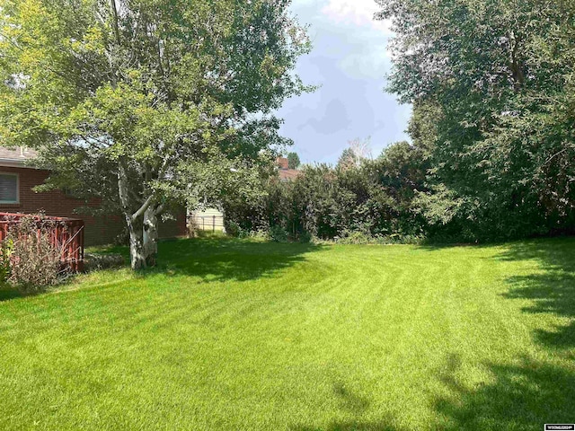 view of yard