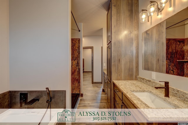 bathroom featuring wood finished floors, vanity, and a bathing tub