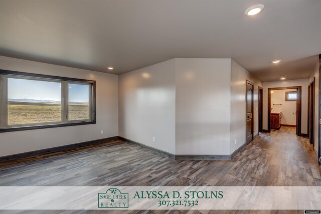 bathroom with hardwood / wood-style floors, vaulted ceiling, vanity, and toilet